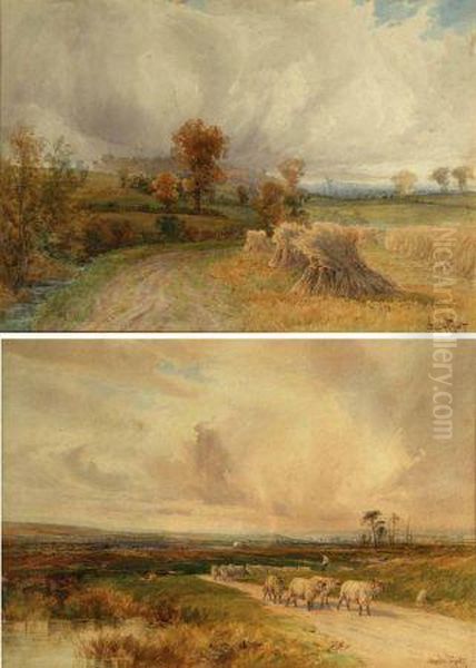 Harvest Field; And Sheep In A Country Lane - view 1