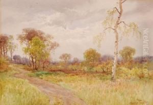 Rural Landscape by Charles Pigott