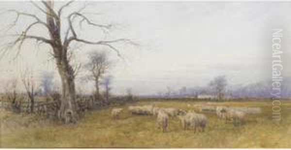 A Winter's Afternoon - view 1