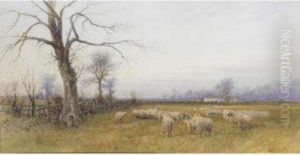 A Winter's Afternoon by Charles Pigott