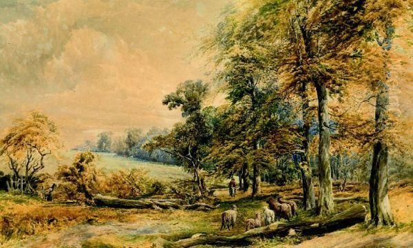 Herderin Met Schaapskudde Aan De Bosrand - view 1