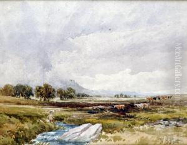 Lone Fisherman, With Cows Grazing In An Extensive Landscape - view 1