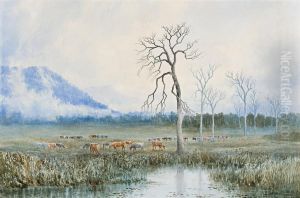 Pastoral Ideal, Tasmania