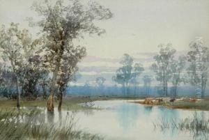 Backwater On River Murray