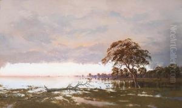 The Flood On The Darling River, New South Wales - view 1