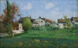 Arbres En Fleurs A L'entree Du Village
