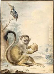 A Squirrel Monkey Holding A Fruit And A Malachite Kingfisher Perched On A Branch by A. Pijl