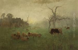 Orchard Morning