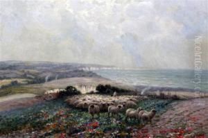 Studland Bay, Dorset