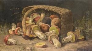 The Mushroom Harvest