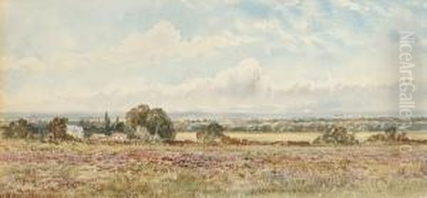 Hayes Common - view 1
