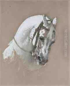 The Head Of A White Horse