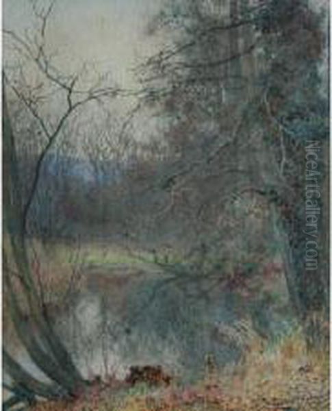 A Woodland Pool - view 1
