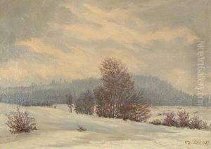 Paisaje Nevado. by Otto Pilz