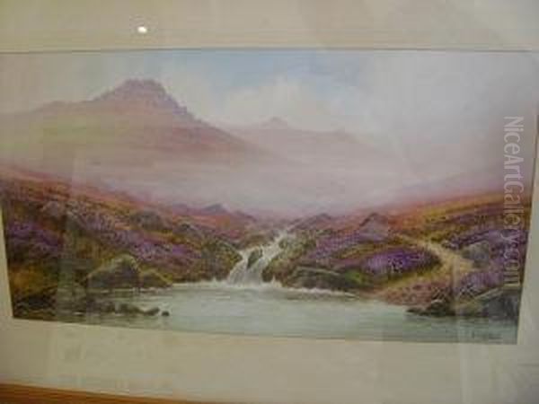 Landscape - view 1