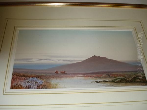 Landscape - view 1