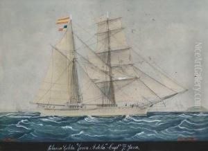 Polacra Goleta Joven Adela Capitan F. Ysern