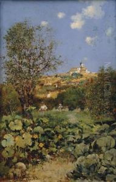 Paisaje - view 1