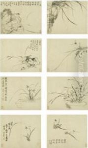 Orchids