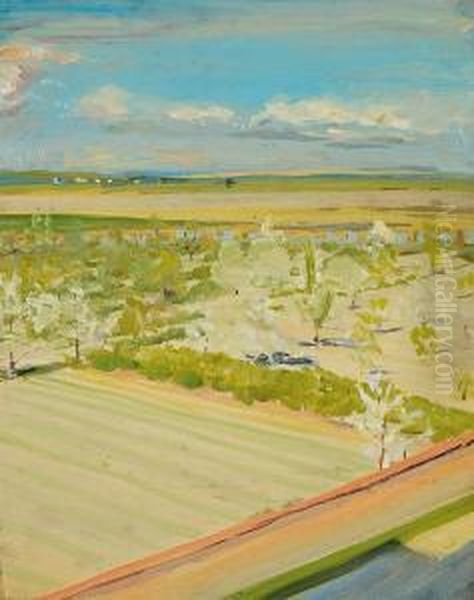 Spring Landscape - view 1
