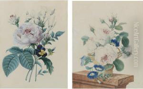 Botanical Study - view 1