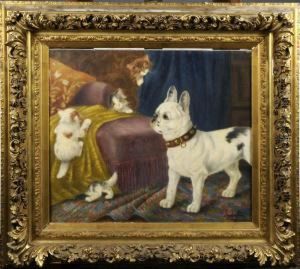 Chien Et Chats by Sophie Pir