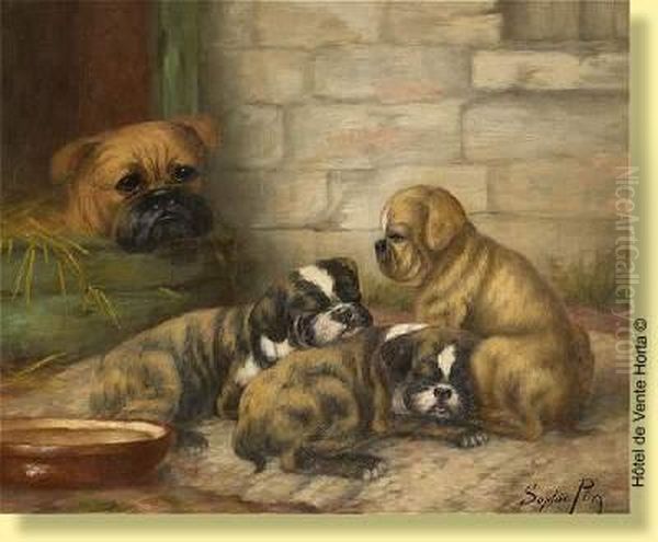 Chiots Sous Surveillance - view 1
