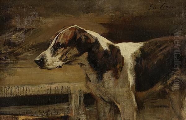 Fox Hound - view 1