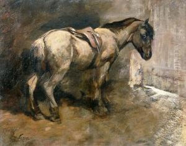 Saddled Pony In Stable Interior - view 1