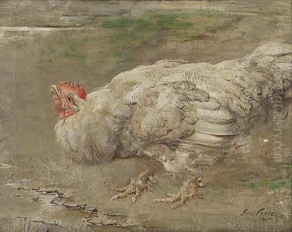 Cockerel - view 1