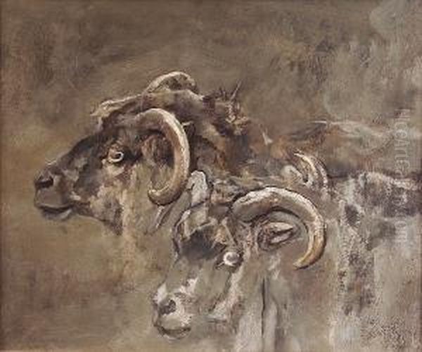 Two Sheeps' Heads - view 1