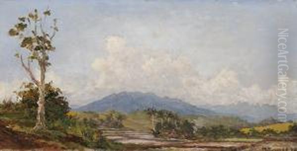 Indonesian Landscape - view 1