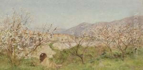 Primavera A Pompei - view 1
