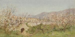 Primavera A Pompei by Alberto Pisa