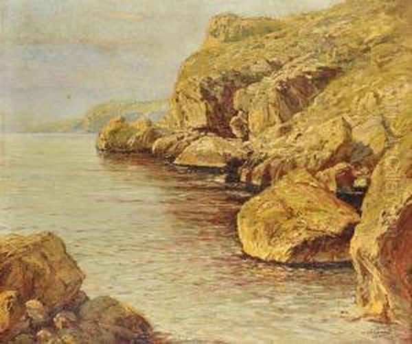Sea Cliffs - view 1