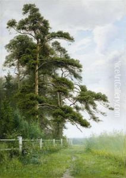 At The Edge Of The Woods - view 1
