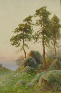 Tree - Sunrise