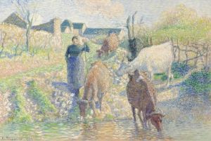 Vaches S'abreuvant Dans Un Ruisseau, Osny