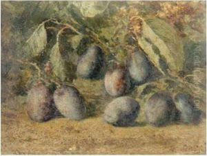 Prugne by Enrico Ulrico Pistilli /