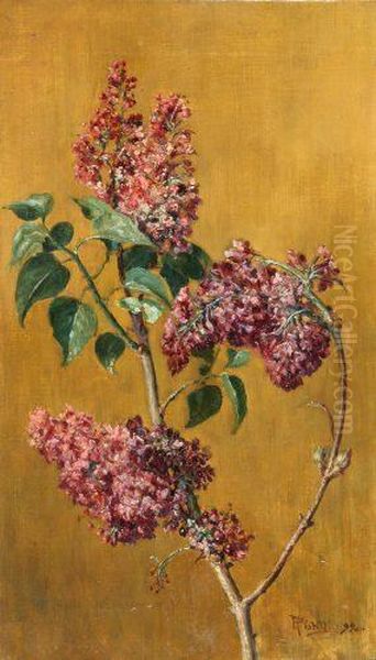 Fiori Rosa - view 1
