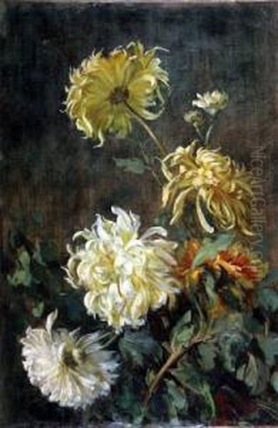 Fiori - view 1