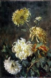 Fiori by Enrico Ulrico Pistilli /