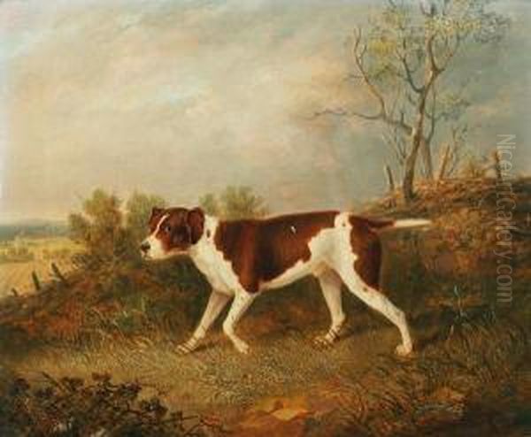 Major John William's Favourite Pointer - view 1