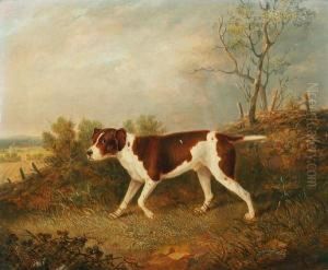 Major John William's Favourite Pointer