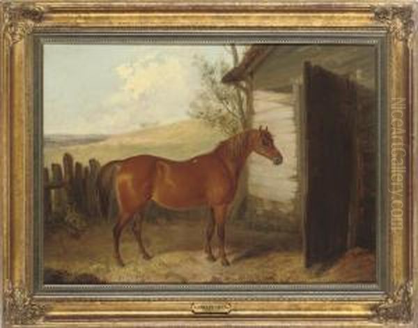 A Chestnut Hunter Beside A Barn - view 1