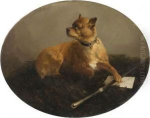 Cane by Carlo Pittara