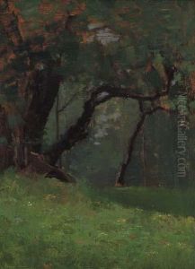 Alberi E Verde by Giovanni Piumati