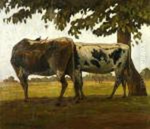 Mucche Al Pascolo A Sanrossore - view 1