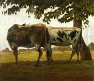 Mucche Al Pascolo A Sanrossore by Feruccio Pizzanelli