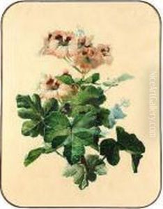 Study Of A Geranium by Claudius Pizzeta